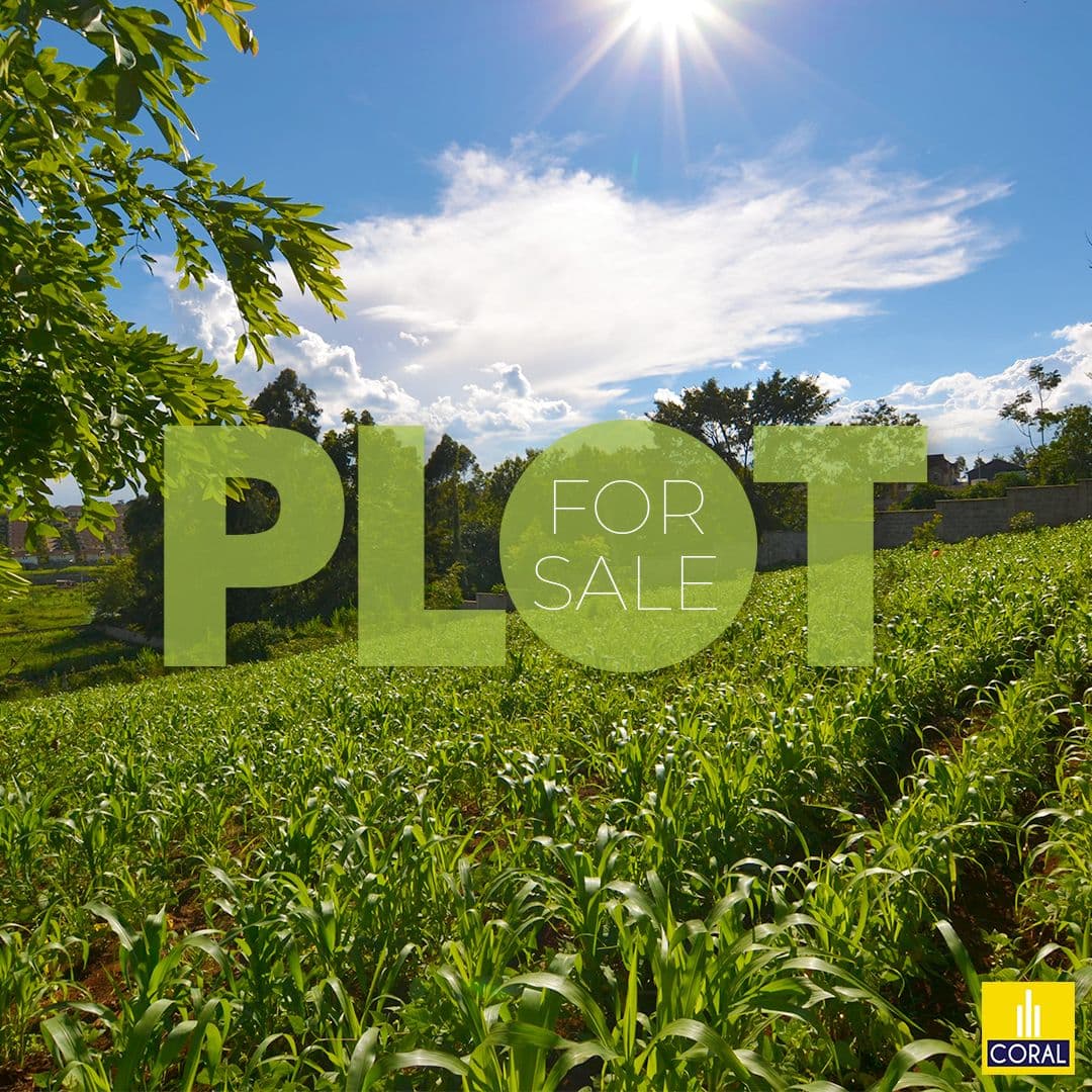 Luxury Modern Estate